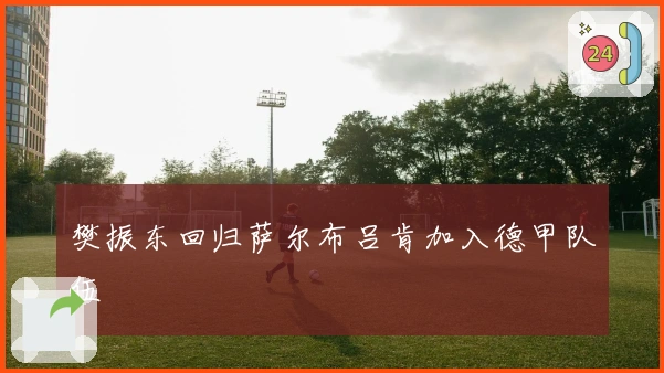 樊振东回归萨尔布吕肯加入德甲队伍