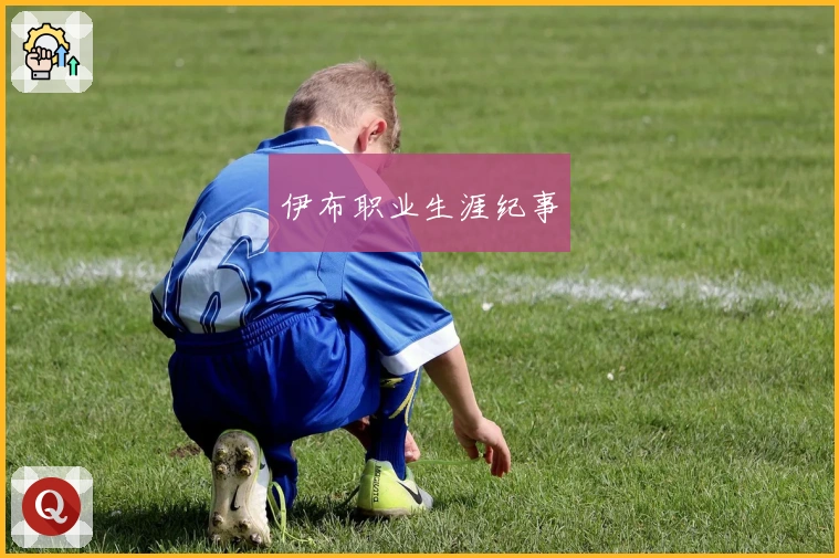 伊布职业生涯纪事