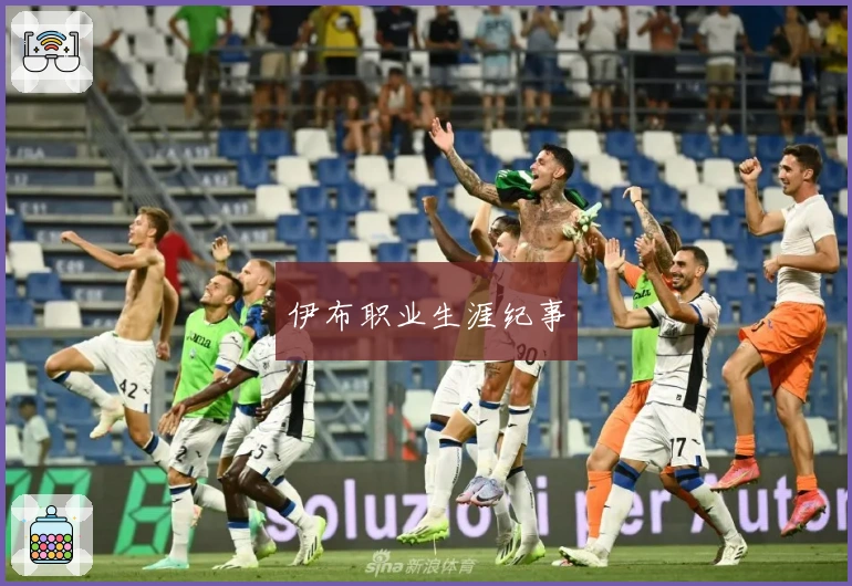 伊布职业生涯纪事