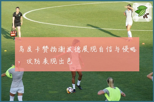 乌度卡赞扬谢泼德展现自信与侵略，攻防表现出色