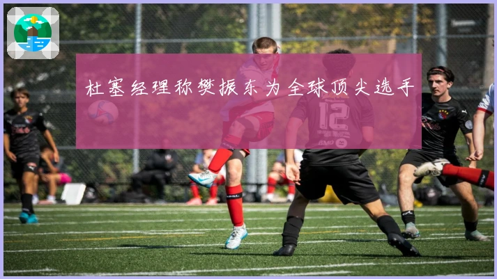 杜塞经理称樊振东为全球顶尖选手