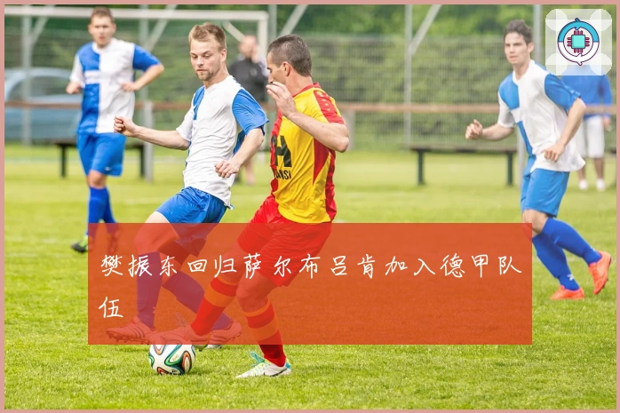 樊振东回归萨尔布吕肯加入德甲队伍